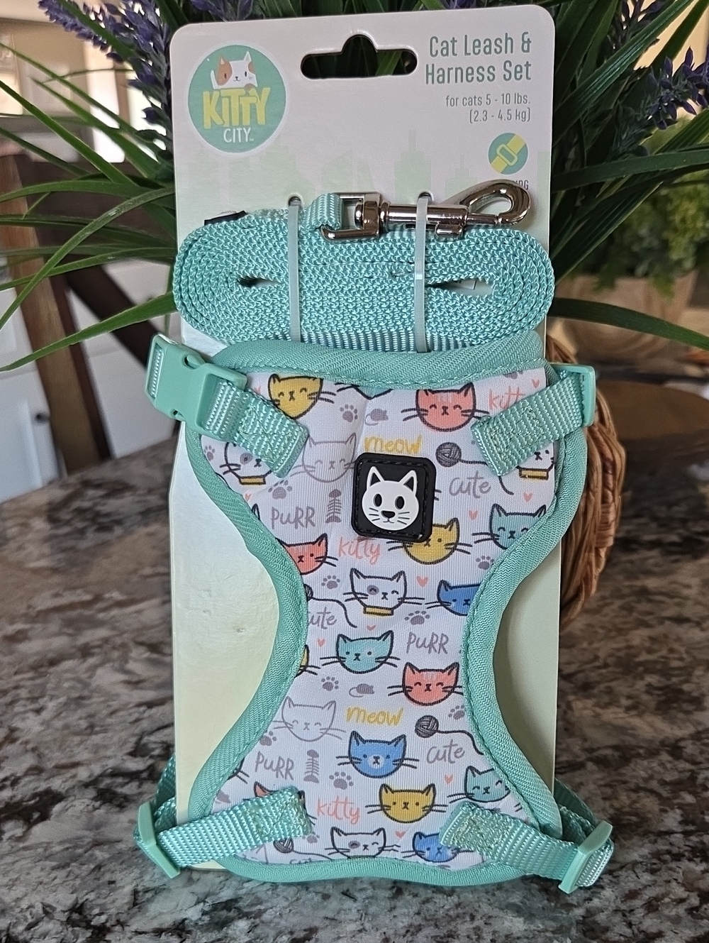 Cat Harness & Leash Set